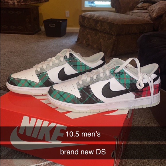 brand new nike dunks size 10.5
